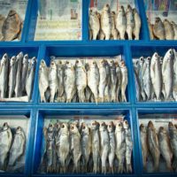 О том, как хранится вяленая рыба в магазинах