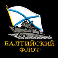 О том, за что Шойгу отстранил руководство Балтийского флота